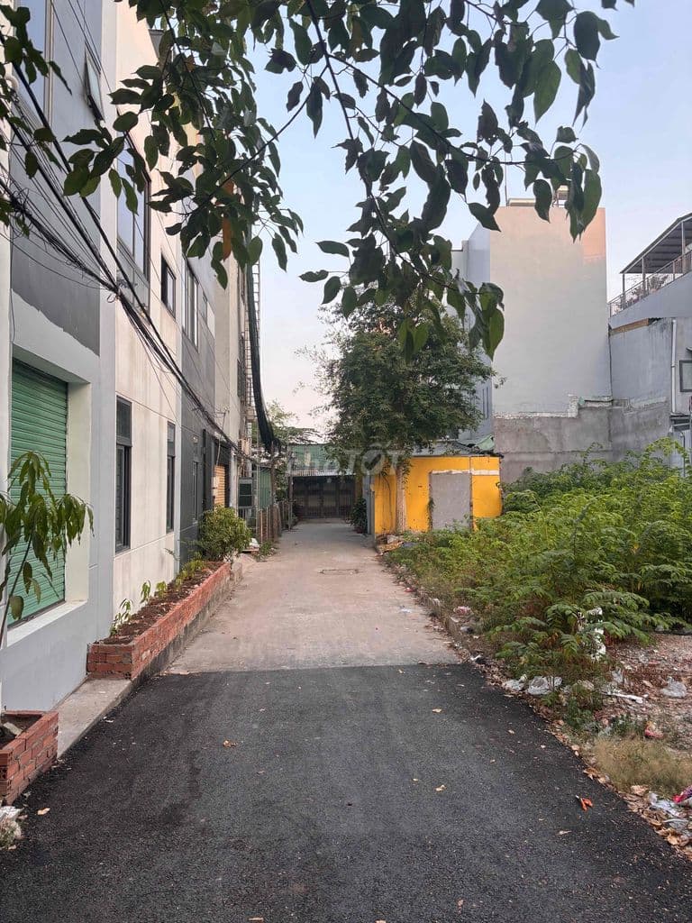 bán đất hẻm 101 đường số 12 tam bình - Ảnh 2