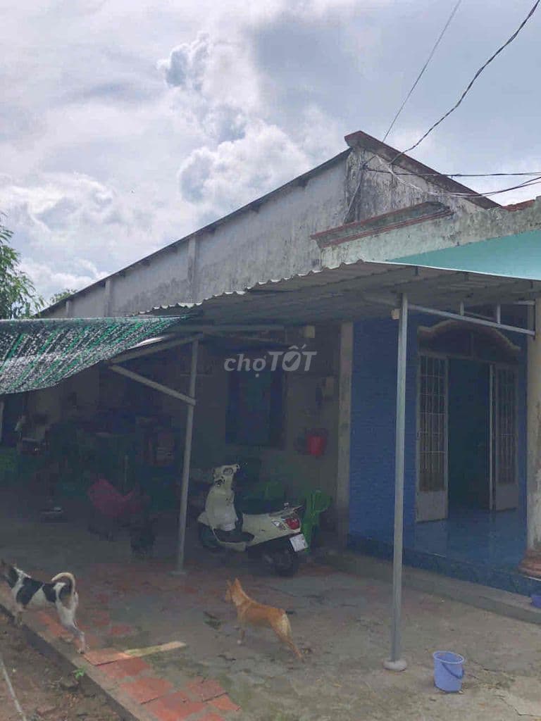 Đất 17x45 (tặng nhà) thổ cư MT tỉnh lộ 15, An Phú, Củ Chi cần bán