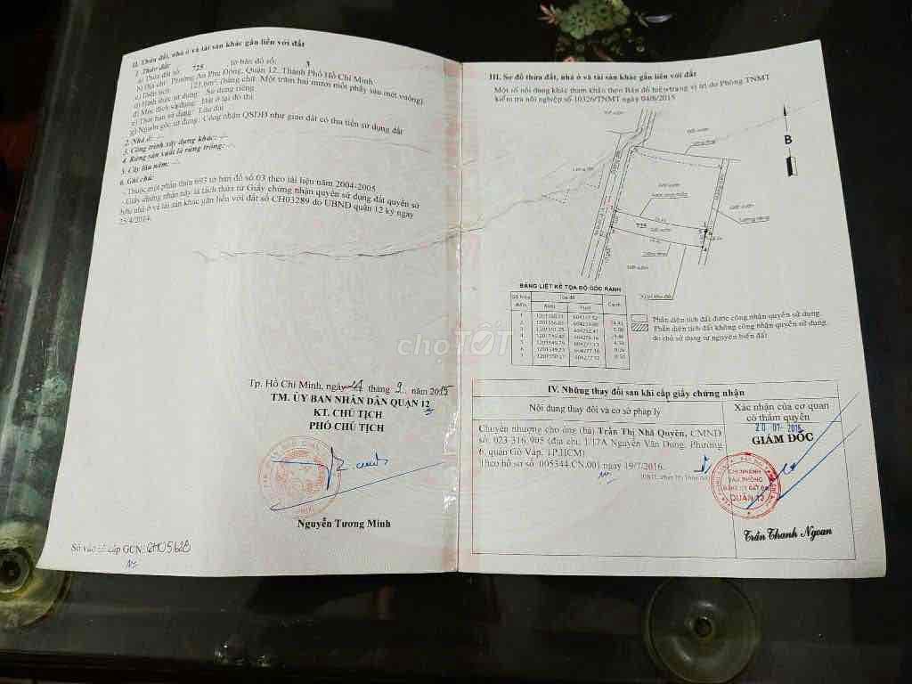 🏕️Đất FULL THỔ CƯ Đường VÕ THỊ THỪA - Ảnh 3