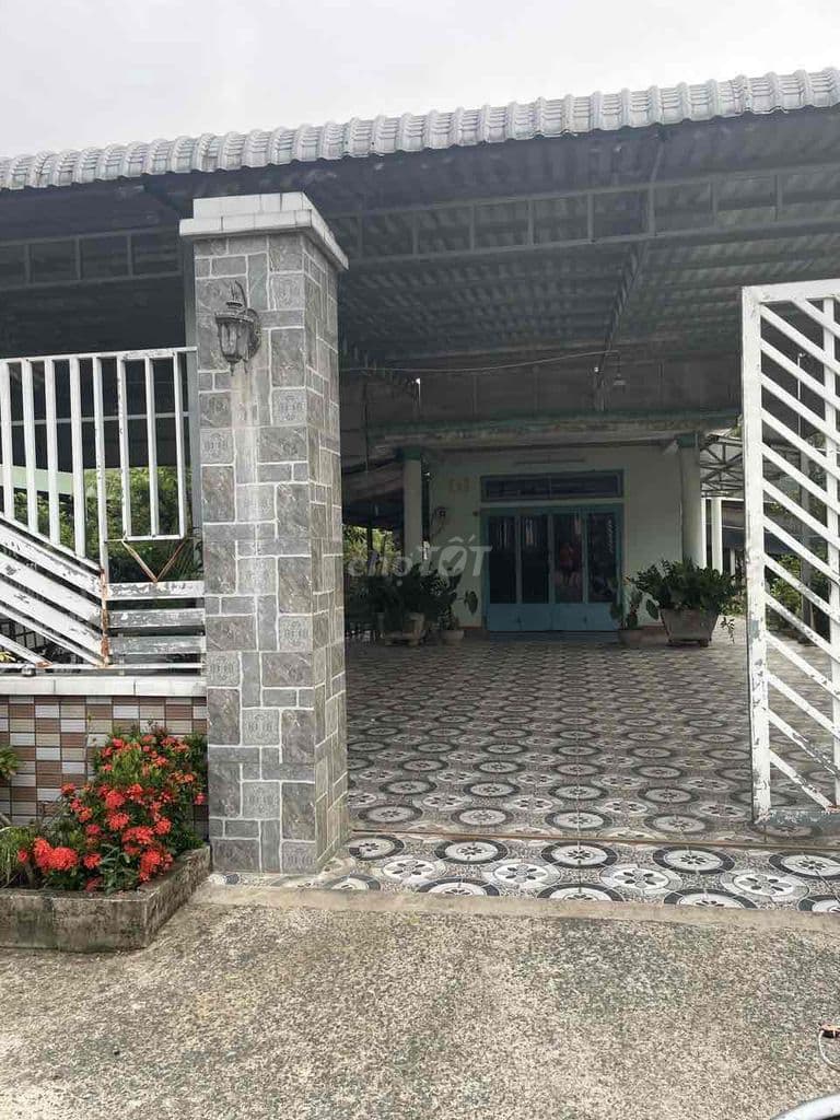 bán đất Củ Chi, đất hỗn hợp, giá cả thương lượng - Ảnh 3