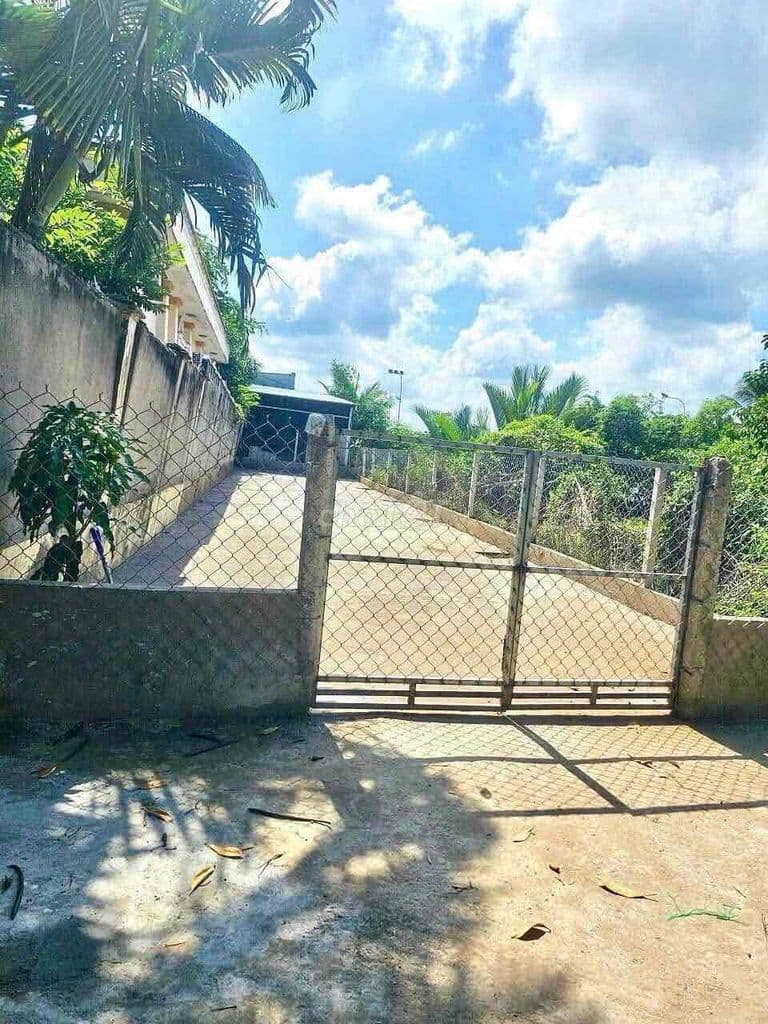 bán đất thổ cư bình khánh mới cần giờ - Ảnh 2