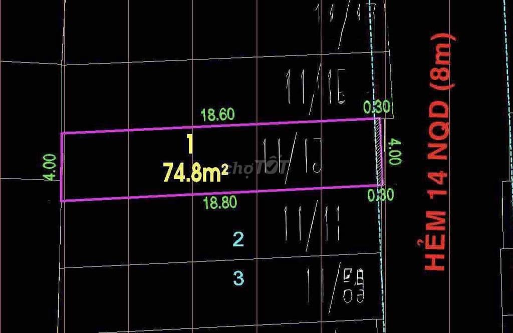 Bán Nhà C4 Hẻm Xe Hơi Nguyễn Quang Diêu 4m x 19m đúc được 6 tấm - Ảnh 3