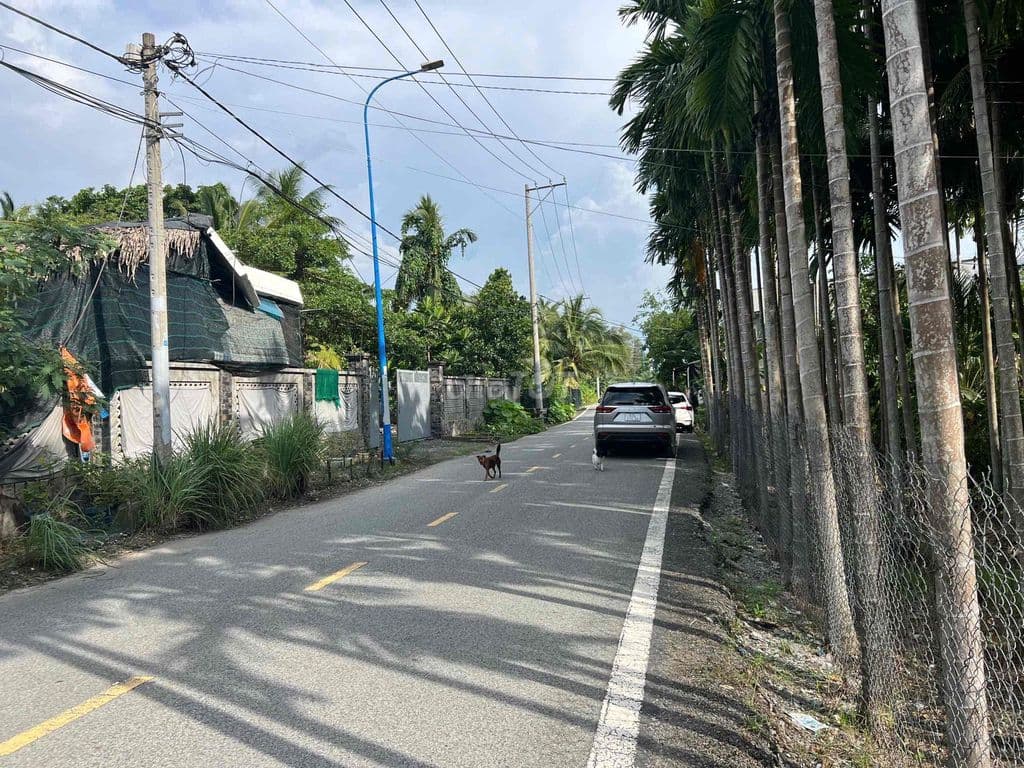 cân bán lô đât mặt tiền - Ảnh 3