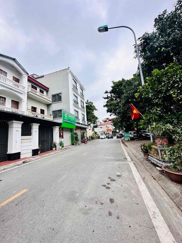 BÁN ĐẤT PHỐ NGUYỄN VĂN CỪ LONG BIÊN – VỊ TRÍ VÀNG, KINH DOANH ĐỈNH - Ảnh 2