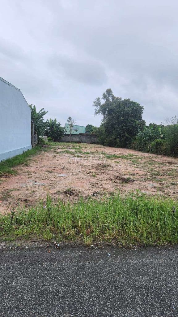 Bán Gấp 1100m2 .Full thổ cư. 1/Đường Nguyễn Thị Lắng - Ảnh 3