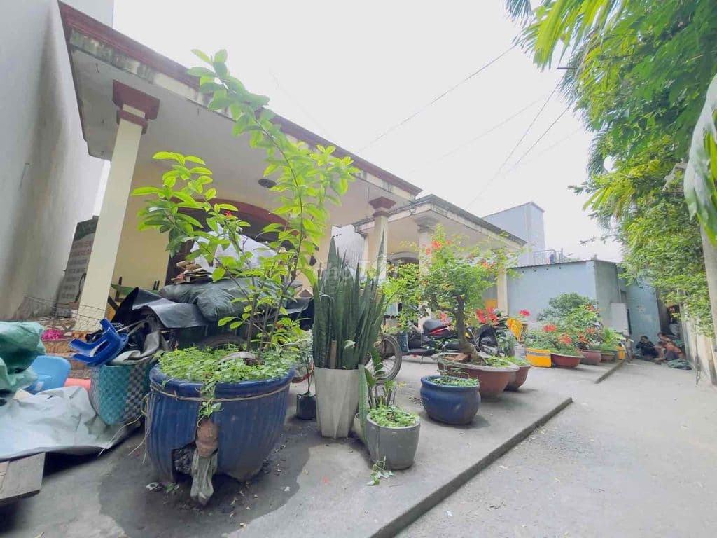 CHỦ GẤP BÁN GIẢM 4TỶ ĐẤT TRUNG TÂM TRƯỜNG THỌ SÁT VÀNH ĐAI 2 GA METRO