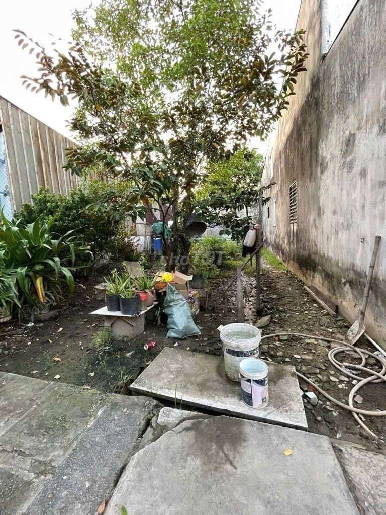 ĐẤT THỔ CƯ NỞ HẬU đường AN PHÚ ĐÔNG 9 phường AN PHÚ ĐÔNG Q12, dt 90m2 - Ảnh 3