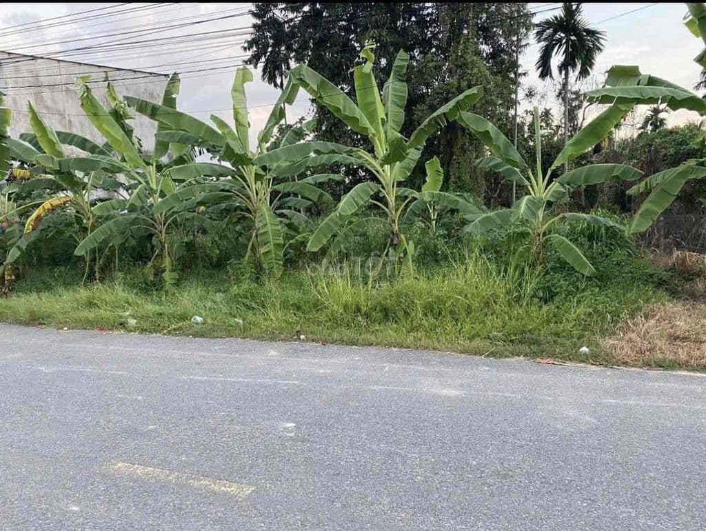 Bán đất đẹp gần chợ Bình Chánh , 213m2/1,13ty hợp đầu tư kinh doanh - Ảnh 3