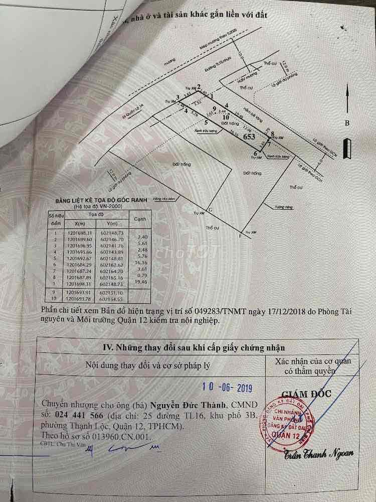 Đất ngộp cần bán gấp tặng cây xanh bự mát che cả vườn luôn - Ảnh 2