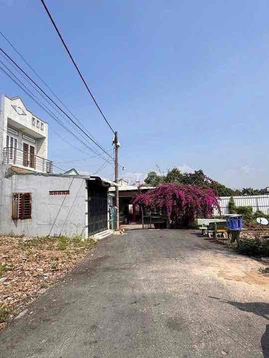 5x19 thoi tam thon - Ảnh 2