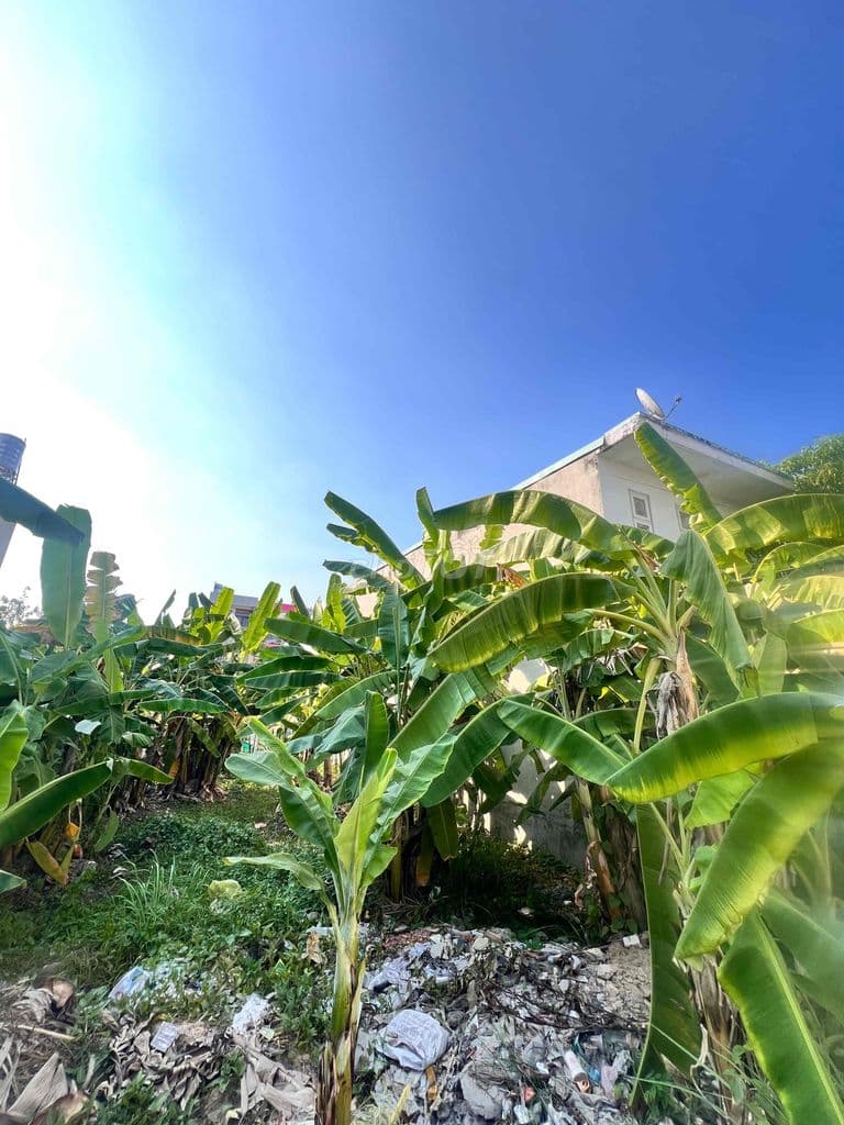 BÁN ĐẤT ĐƯỜNG SỐ 8 LÒ LU