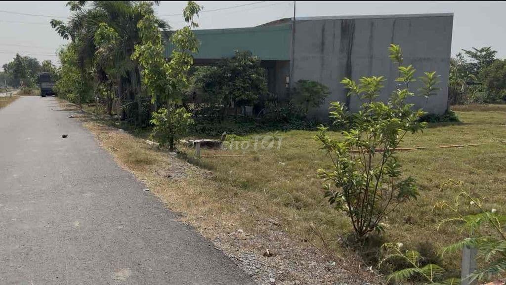 Lô 111m2 bán gấp giá dưới một tỷ mặt tiền Đ.Basa Phước Hiệp - Ảnh 3