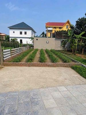 VỈA HÈ- Ô TÔ TRÁNH- KINH DOANH- SÁT KHU VUI CHƠI, HỒ ĐIỀU HOÀ, NHÀ VĂN - Ảnh 3