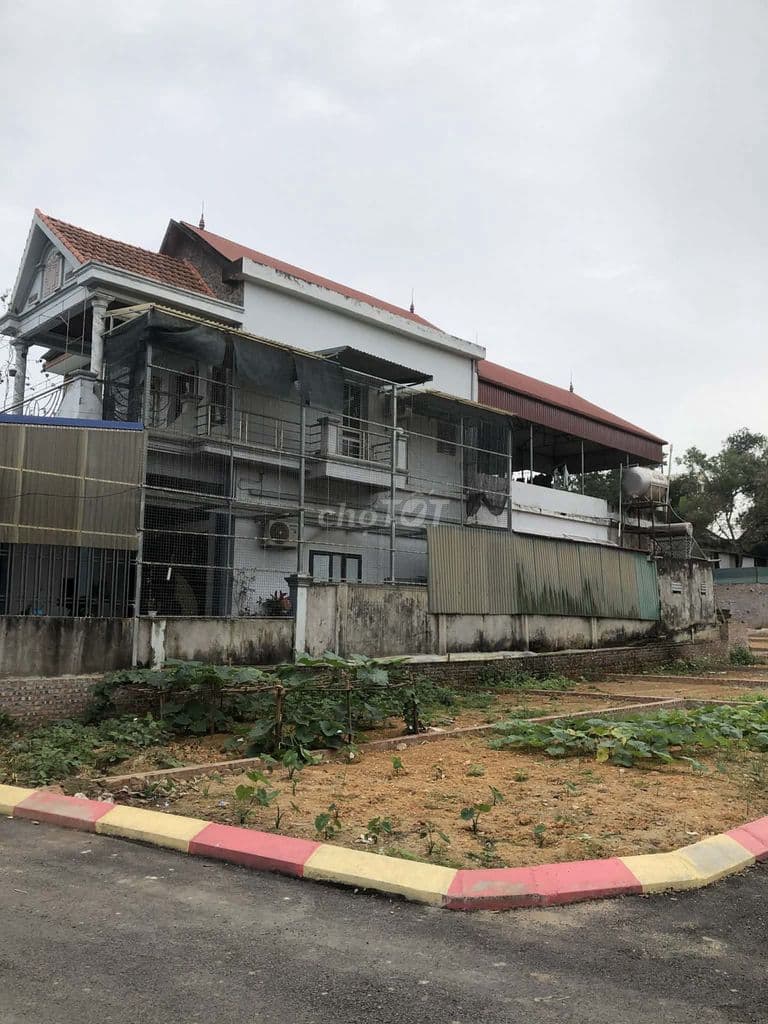 Em có mảnh đất nền cần bán gấp để trả nợ *** - Ảnh 2