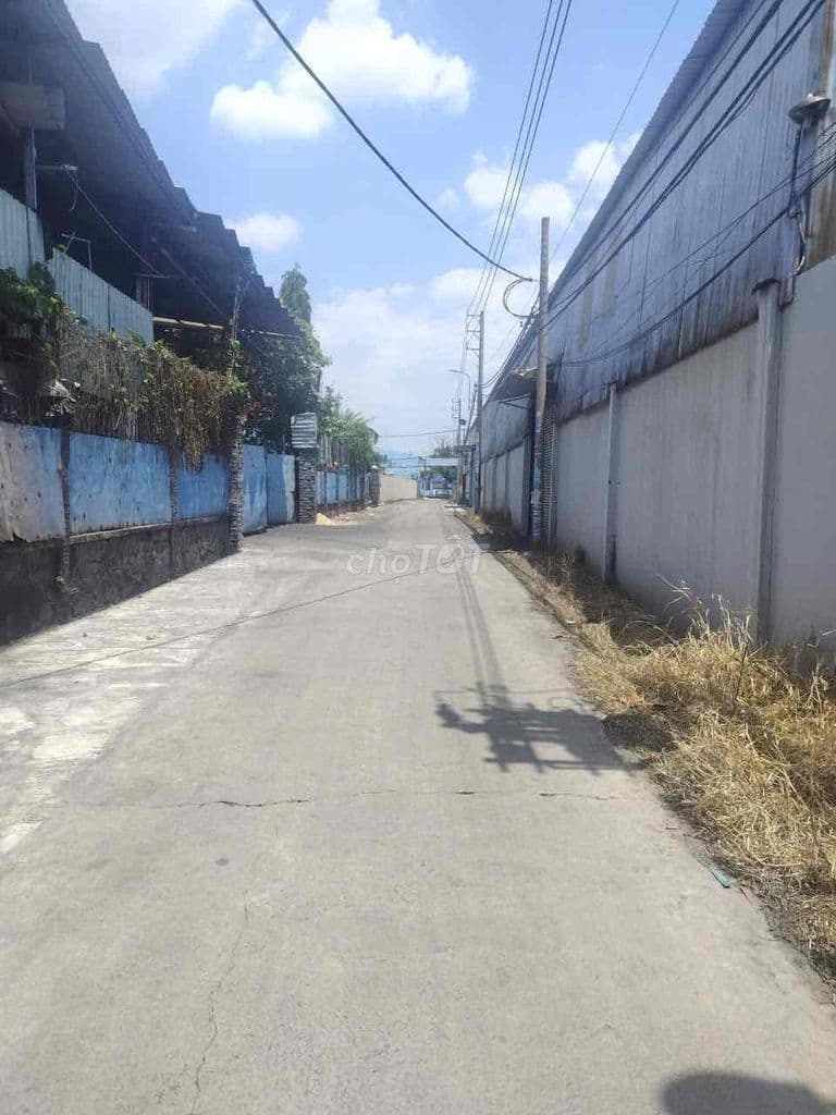 📍ĐẤT THỔ CƯ ĐỐI DIỆN CÔNG TY NÓN SƠN, 5M x 24M - Ảnh 2