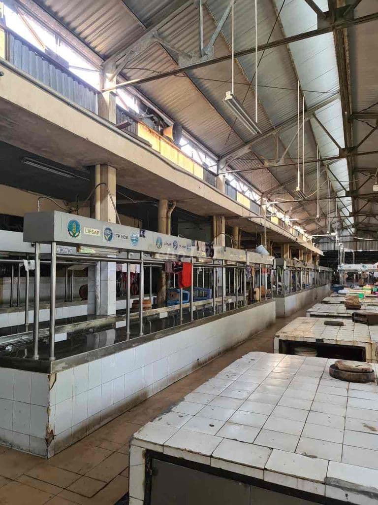 SANG SẠP THỊT HEO CHỢ BÀU CÁT CHỈ 50TRIỆU NGUYỄN HỒNG ĐÀO P14 TÂN BÌNH - Ảnh 3
