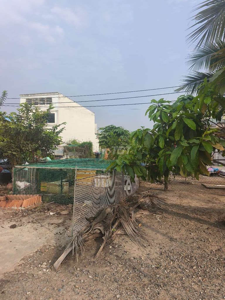 Bán gấp đất mặt tiền đường Mai Bá Hương 1000m có 800m thổ cư - Ảnh 3