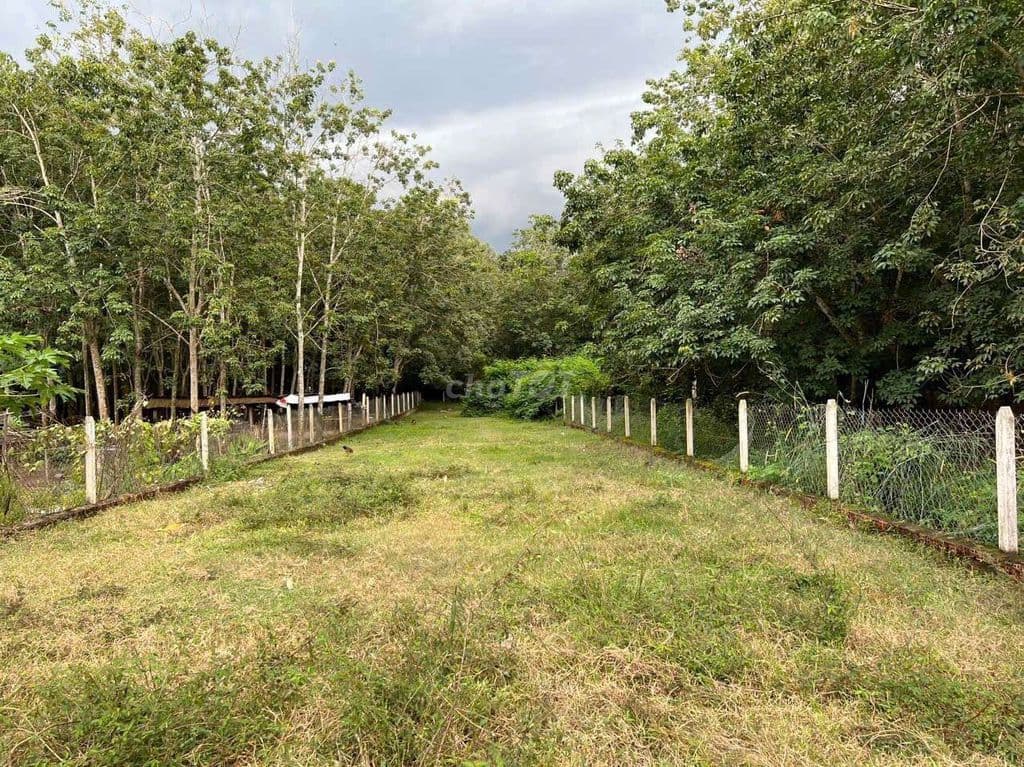 Cần Bán Lô Đất Mặt Tiền Đường Võ Thị Bàng