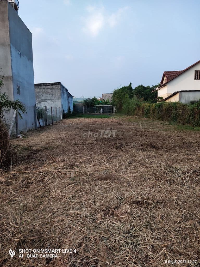 Bán đất: Hẻm Tổ 2, Đường Đinh Đức Thiện, Ấp 25, Xã Bình Chánh, TP.HCM - Ảnh 3