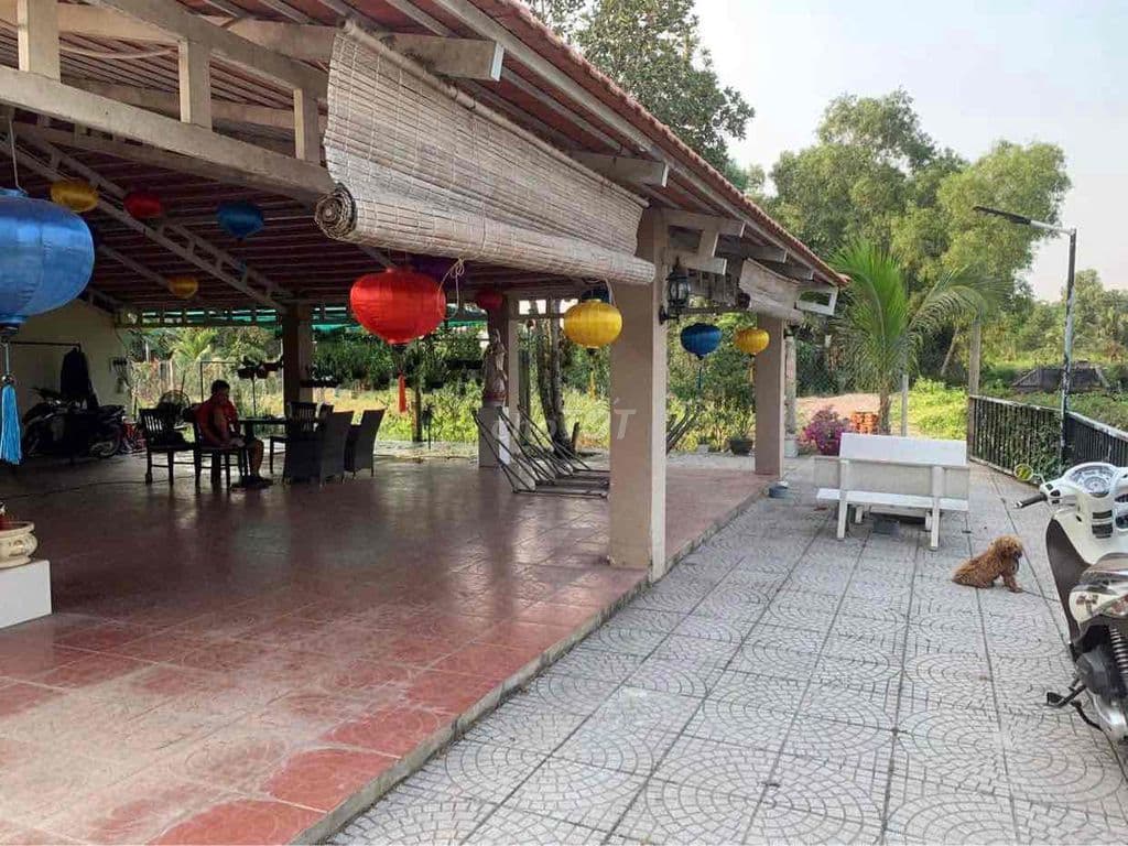 bán nhà vườn tân nhựt Bình Chánh 1188m co 300m thổ cư - Ảnh 3