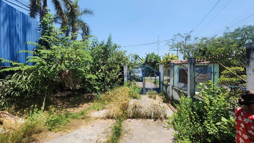 Trịnh Quang Nghị, xã Phong Phú, H. Bình Chánh, diện tích 333,9m2, 13.X - Ảnh 2