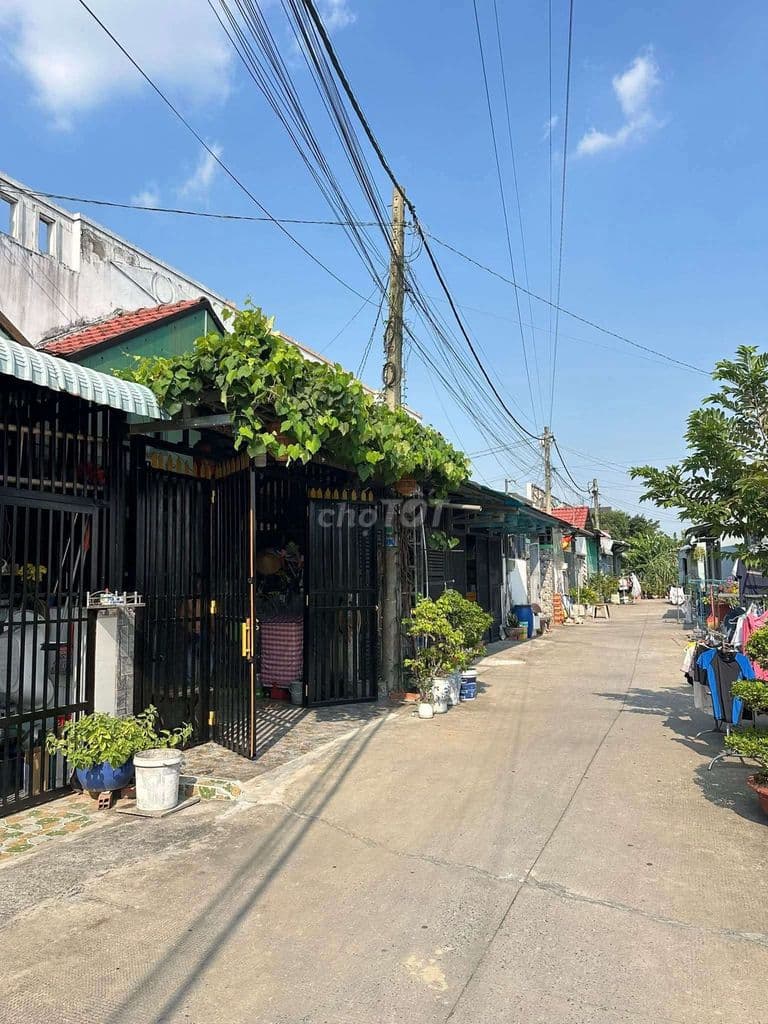 BÁN ĐẤT THỔ CƯ DT 5 x 31m Giá 2.7 Tỷ Đg Ng Văn Bứa Xã X.T.Thượng H.Môn - Ảnh 3