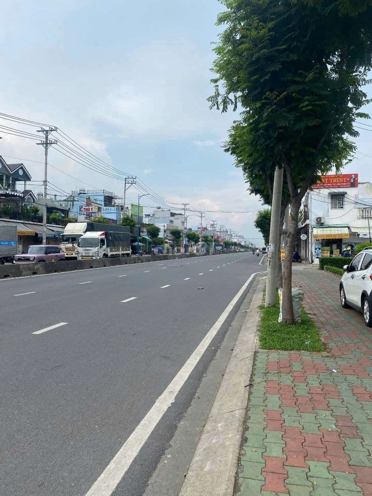 Bán đất QL1A - Ảnh 2