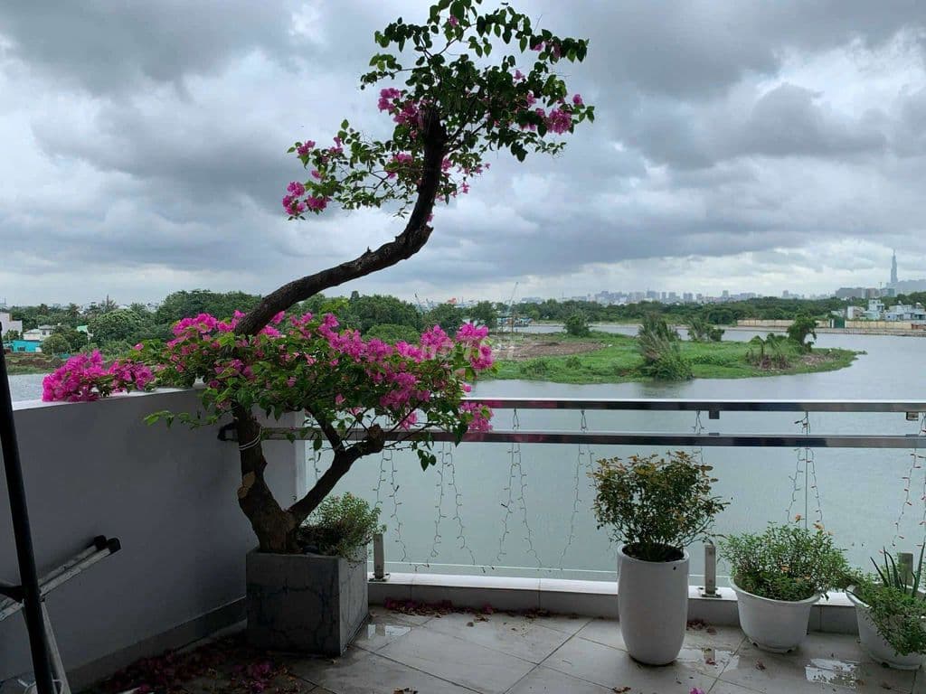 Bán chung cư Bán chung cư Felixhome, trục Nguyễn Oanh Gò Vấp