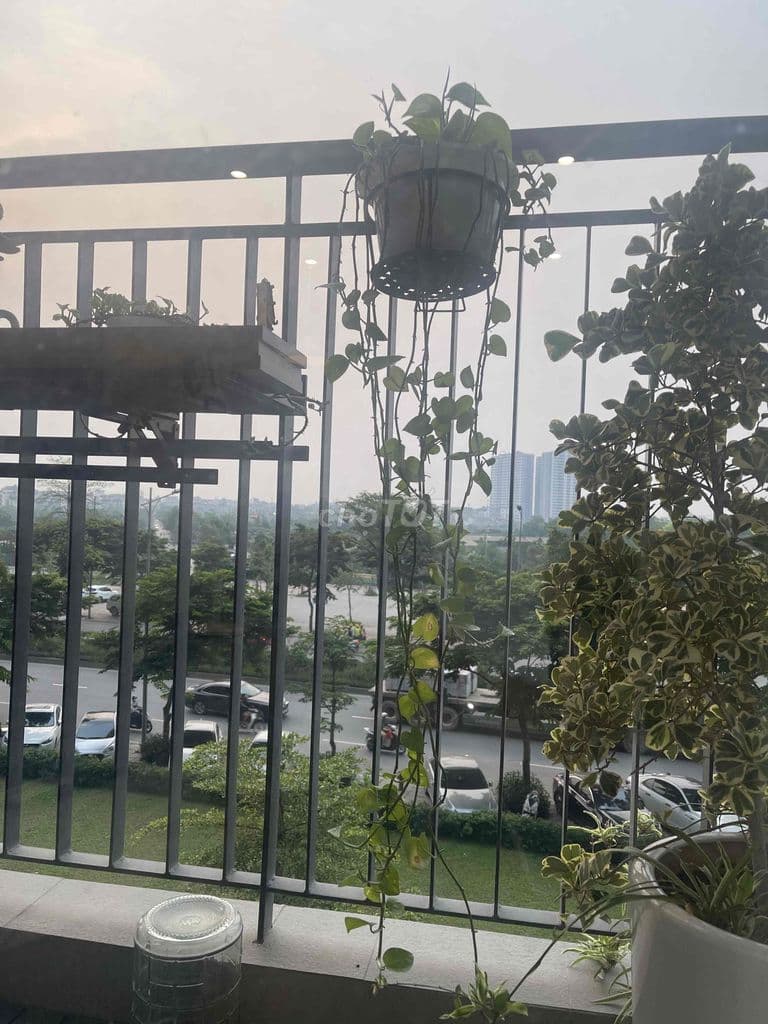 Chính chủ cần bán căn 3 Ngủ - Ảnh 3