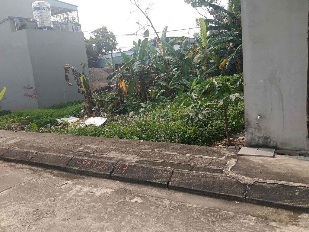 Đấu Giá-Biên Giang-Chương Mỹ