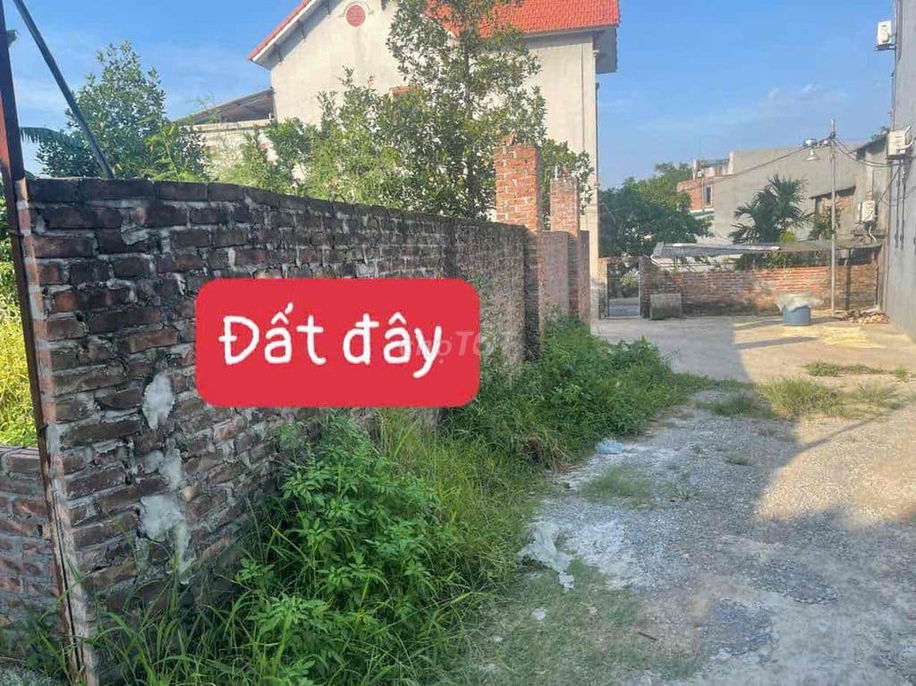 BÁN ĐẤT ĐÔNG PHƯƠNG YÊN, CHƯƠNG MỸ - 196M² - ĐƯỜNG 8M CHIA ĐƯỢC 2 LÔ - Ảnh 2
