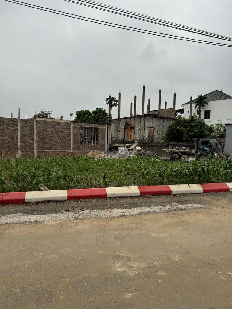 MỞ BÁN LÔ ĐẤT CHƯƠNG MỸ, HÀ NỘI - 80M2 FULL THỔ CƯ - GIÁ F0 - Ảnh 3