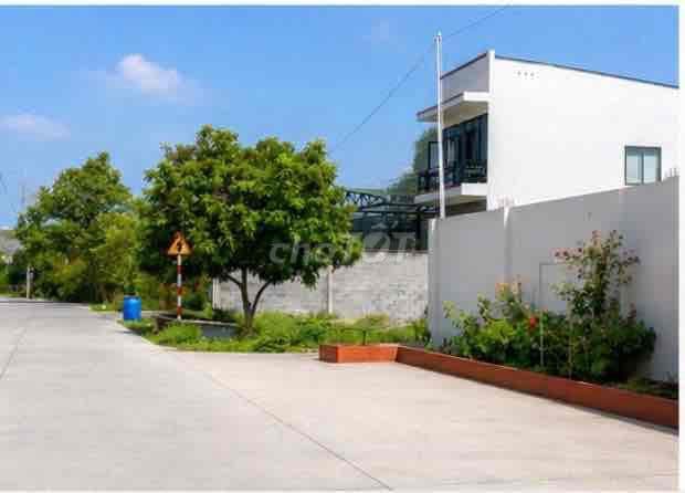ĐẤT FULL THỔ CƯ NGANG LỚN 8M NGAY TRUNG TÂM TÂN AN HỘI GIÁ MỀM - Ảnh 2