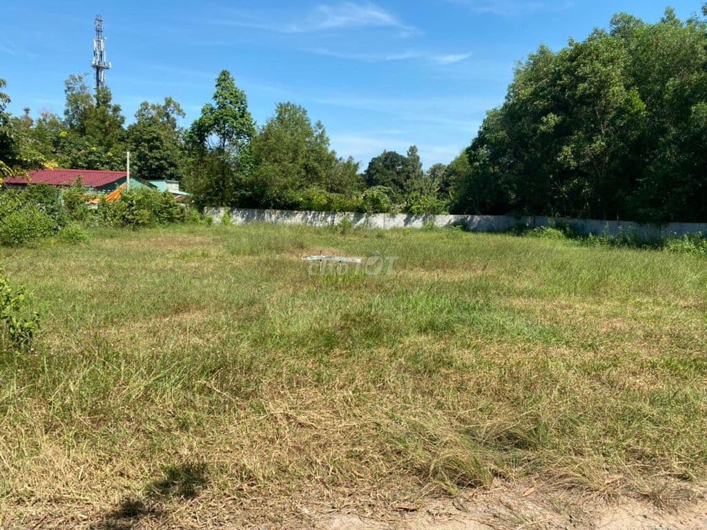 1252,9m² ĐẤT MẶT TIỀN ĐƯỜNG NHỰA – 600m2 TC – gần TL15 Củ Chi - Ảnh 3