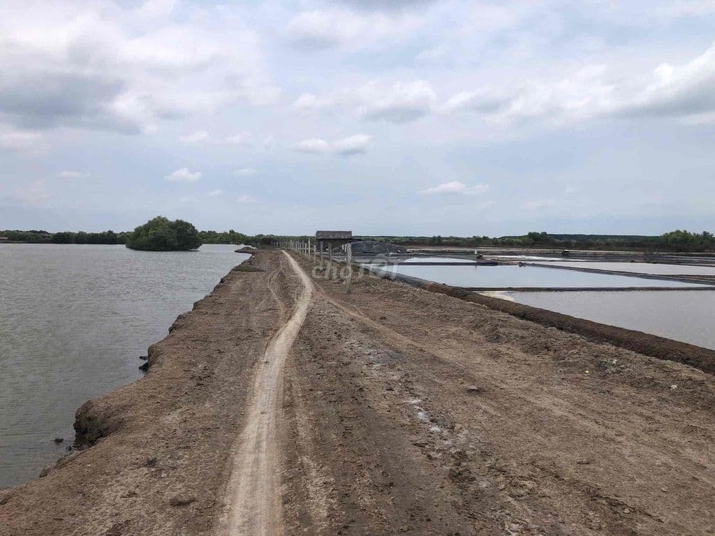 Chính chủ bán đất Thuỷ Sản Lý Nhơn Cần Giờ - Ảnh 3