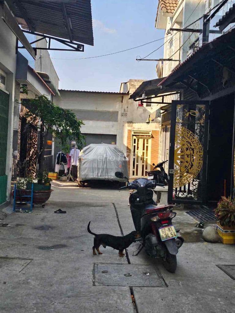 nhà Tây Lân - Ảnh 3