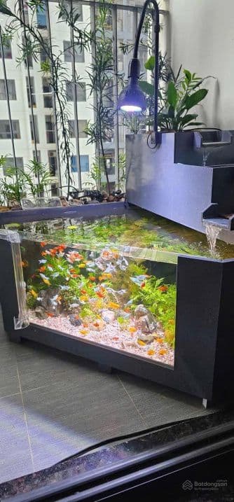 GĐ cần bán căn hộ cc cao cấp TOÀ T4- THĂNG LONG VICTORY. 70m,2ngủ,2wc