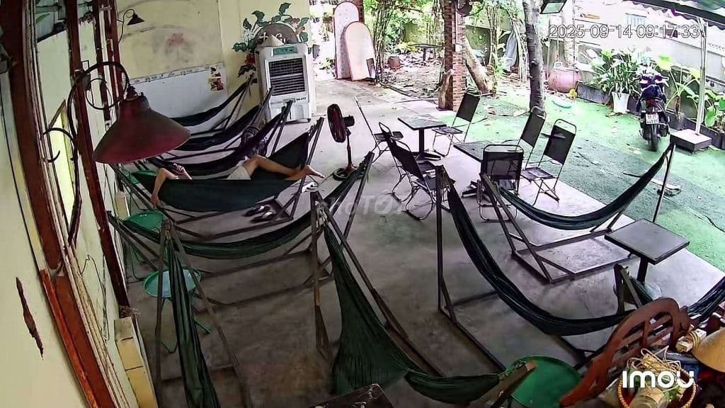 Sang quán cà phê - Ảnh 2