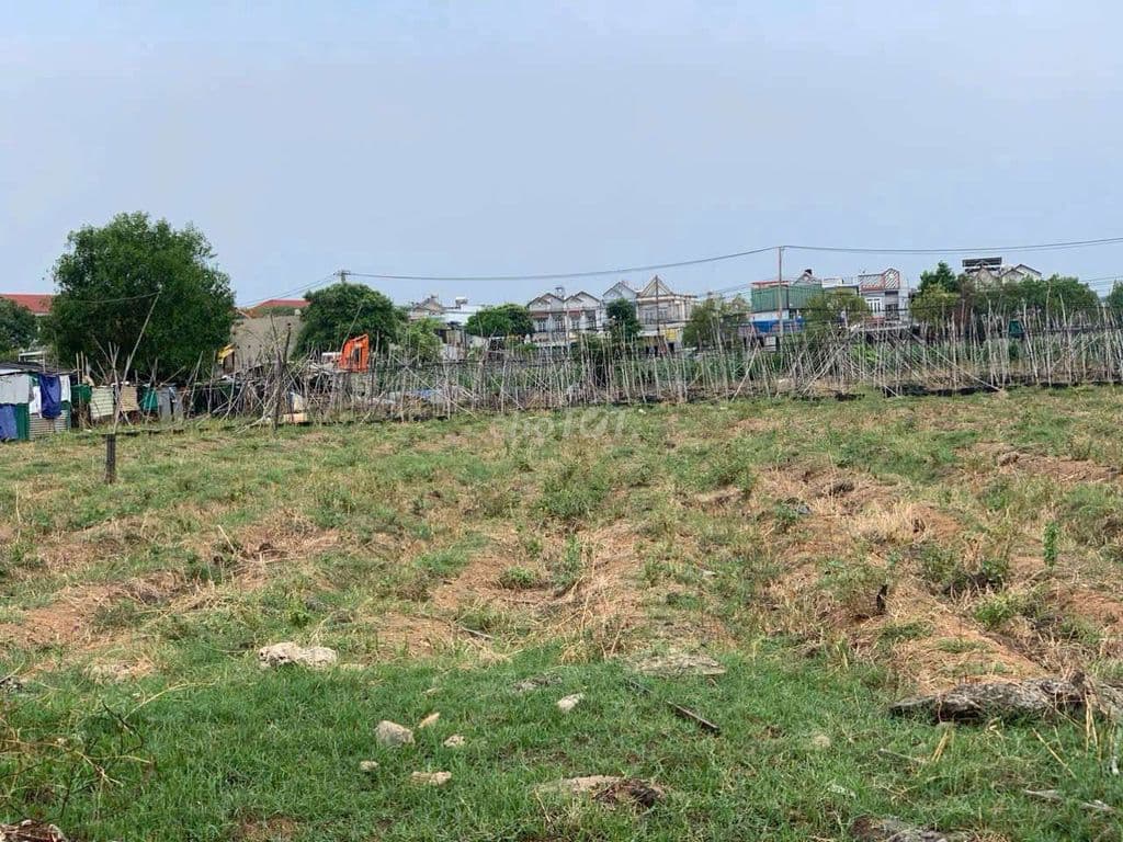 Đất 12 x 85 (1066m2) hẻm 6m đường Nguyễn Văn Bứa,gần ngã 4 Hóc Môn - Ảnh 2