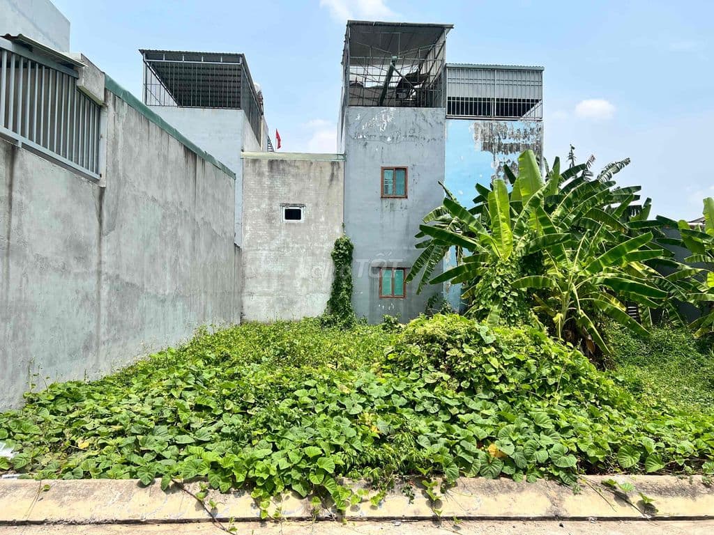 🔥LÒ LU - 140M2 NGANG 8M - NGAY KDC SIMCITY - ĐƯỜNG 8M - NHỈNH 5.5TỶ - Ảnh 3
