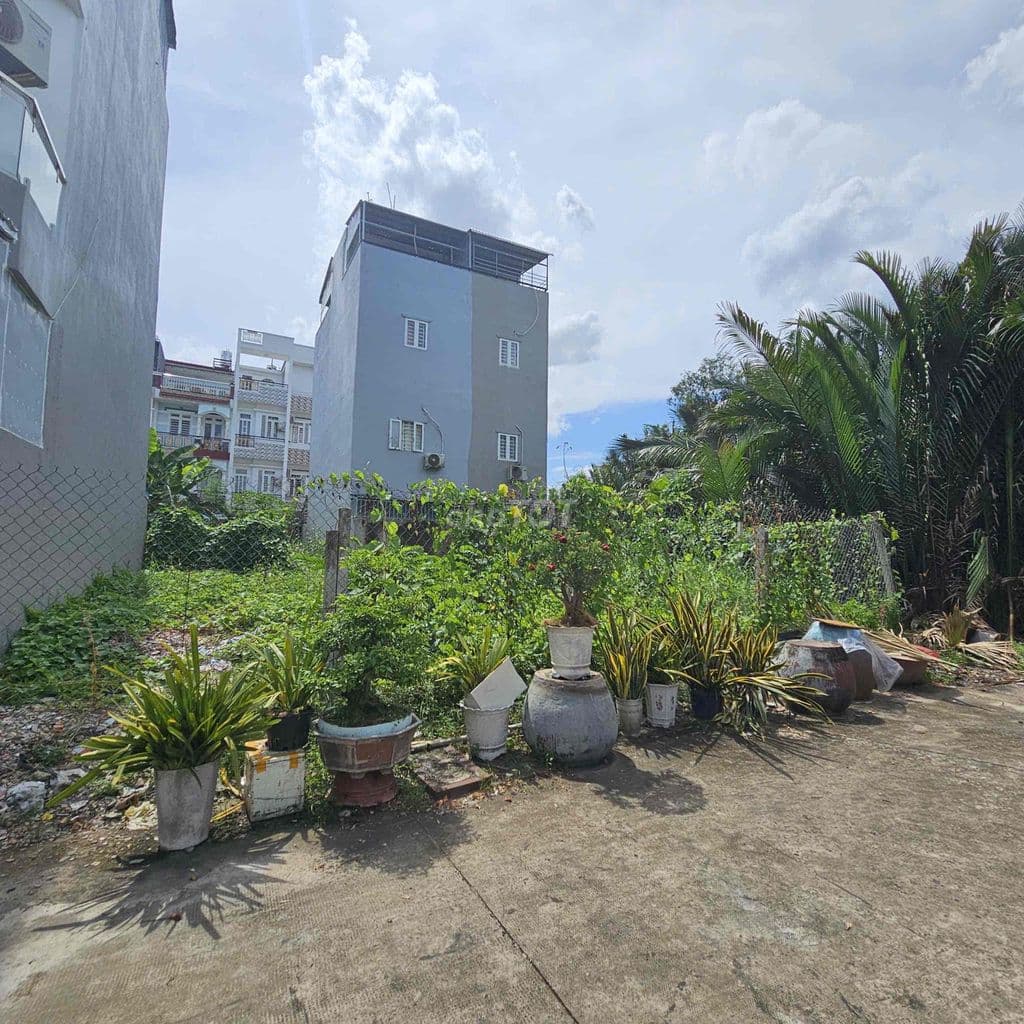 ĐẤT XAY BIỆT THỰ NGANG 12 dài 12 gần trung tâm lê văn lương. - Ảnh 2