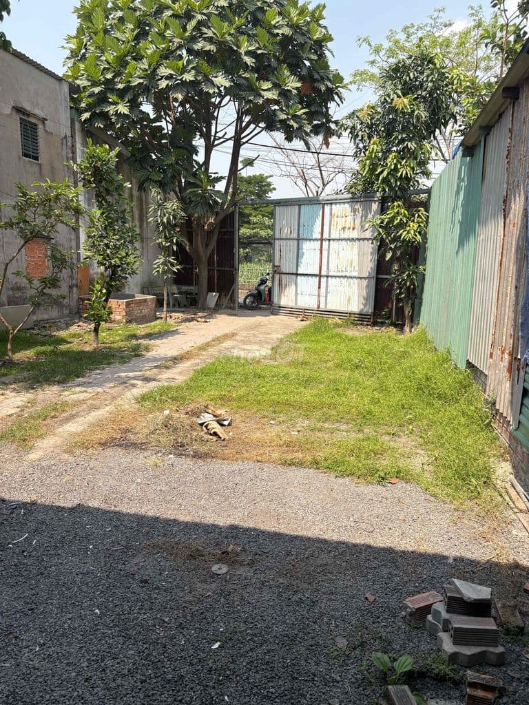 nhà nát Tx25 4x24m đường thông mua bán kd nhỏ lẻ được - Ảnh 2