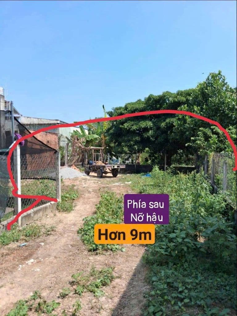 đất Chính Chủ 231m, Thổ 221m. hậu nở 10m, Xã phước Vĩnh an - Ảnh 3