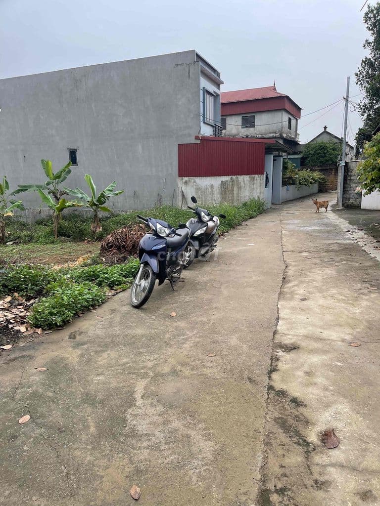 đất nền công nghê cao hoà lạc - Ảnh 2