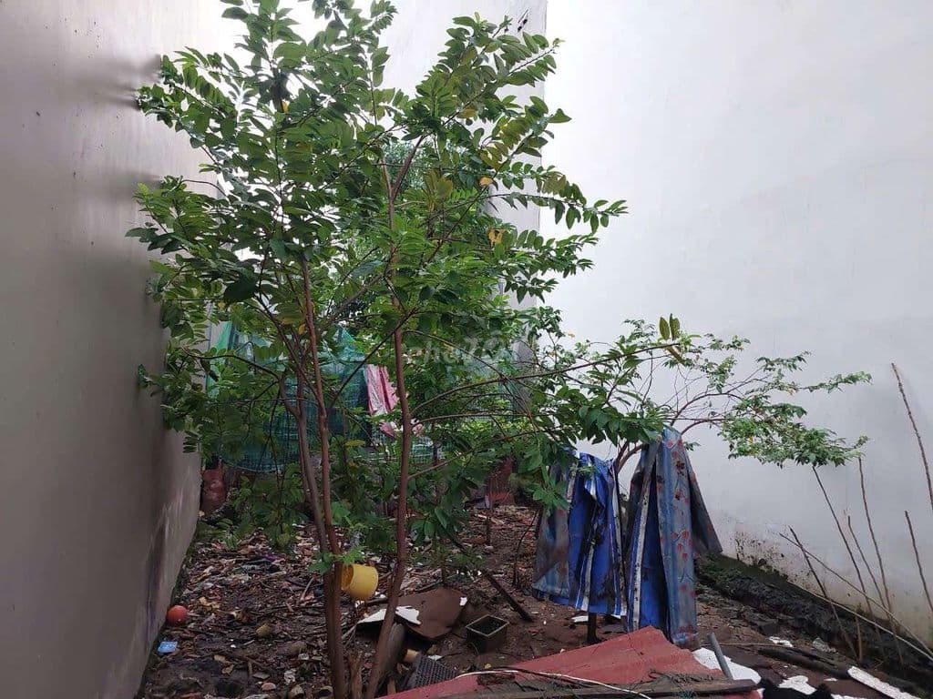 Hàng Ngộp. Siêu Rẻ. HXH Đường Nguyễn Duy Trinh. Long Trường. Quận 9. - Ảnh 2