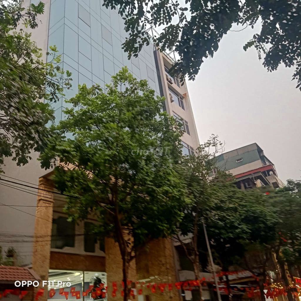 CÁ MẬP THANH XUÂN🌴🌴 Ngã tư sở 🌴🌴NHÀ LÔ GÓC VỈA HÈ MÊNH MÔNG - Ảnh 3