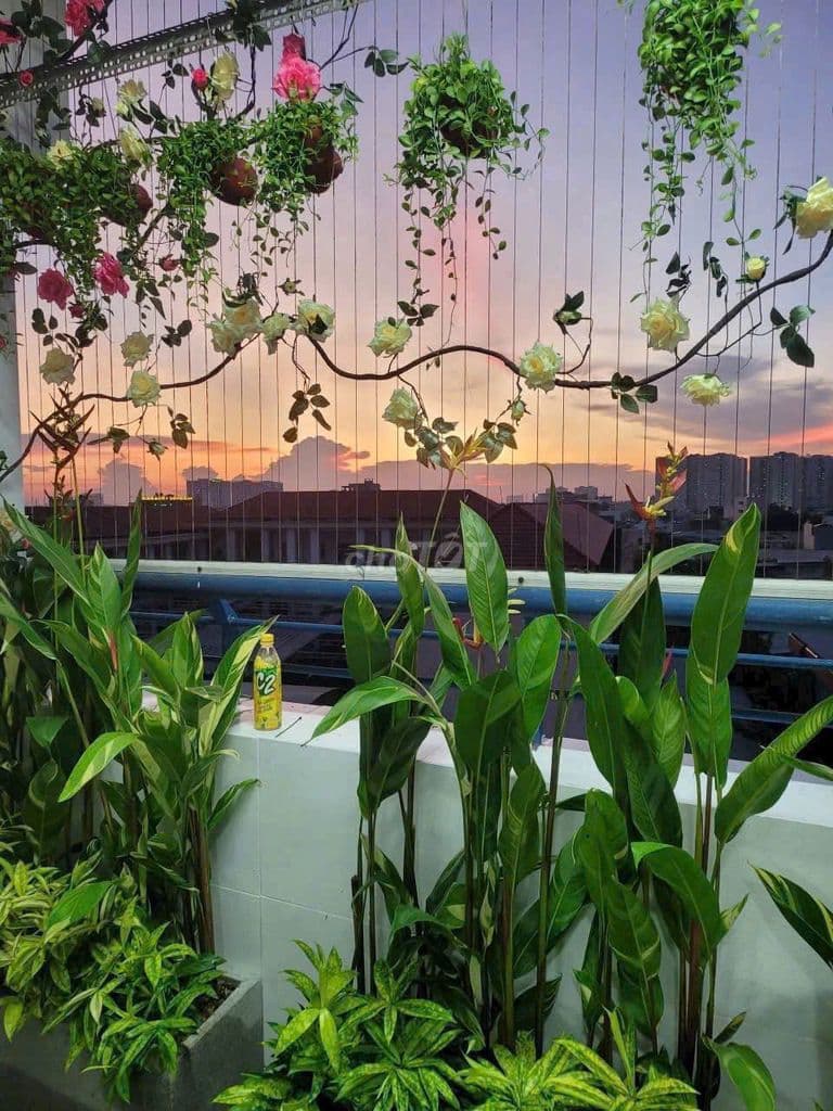 Cần bán penhouse Thái An, Nguyễn Văn Quá, Q12, giá 7,3tỷ, 176m2, 5PN - Ảnh 3