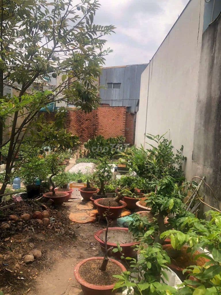 4x20 một sẹc ĐT 4-2 Đông thạnh HM - 3 tỷ 350 TL gần Nguyễn ảnh t - Ảnh 2