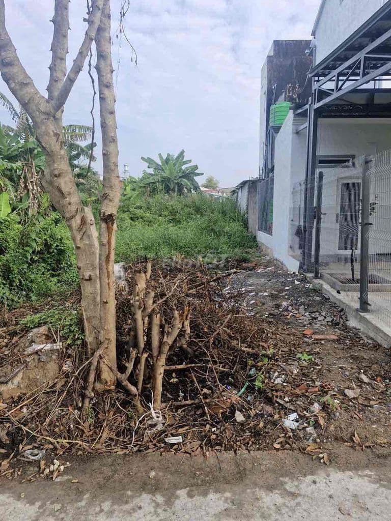 Bán Đất Nền Xã Bình Chánh - Ảnh 3