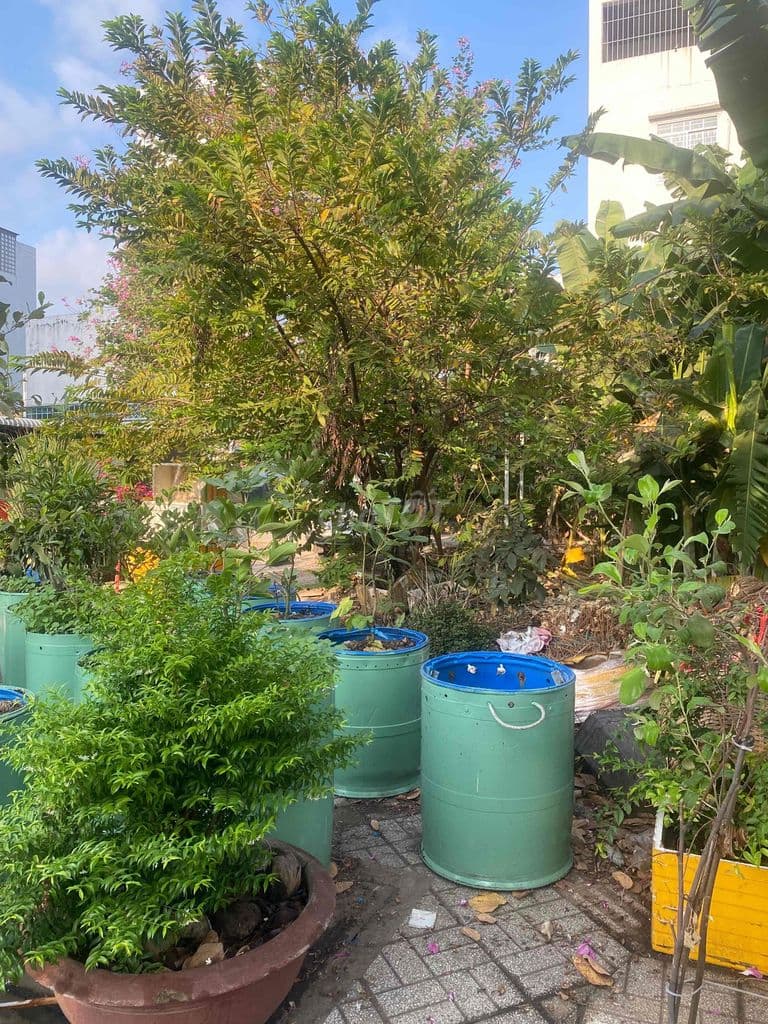 cần tiền bán nền đất kdc chợ bình điền chính chủ giá tốt - Ảnh 2